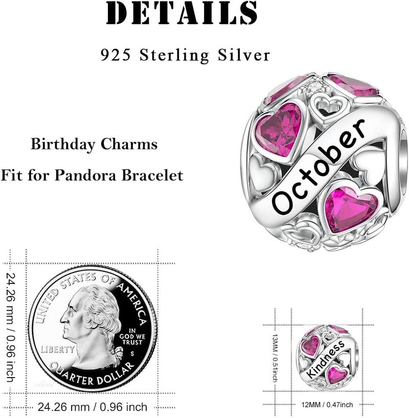 DALARAN Birthstone Charms for Charms Bracelet 925 Sterling Silver Heart Bead Happy Birthday Charms for Women - Image 5